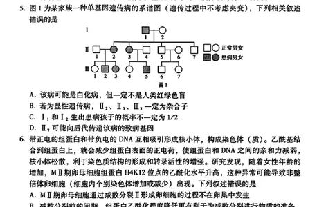 生物+西南名校联盟2025届3+3+3试卷及答案（四）_2025年5月_0522西南名校联盟2025届&ldquo;3+3+3&rdquo;高考备考诊断性联考（四）（全）