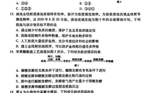 生物+西南名校联盟2025届3+3+3试卷及答案（四）_2025年5月_0522西南名校联盟2025届&ldquo;3+3+3&rdquo;高考备考诊断性联考（四）（全）