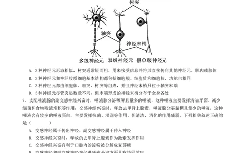 高二生物第一次月考卷测试范围：人教版2019选择性必修1第1章~第2章第3节（考试版）_1多考区联考试卷_2510142025-2026学年高二生物上学期第一次月考试题