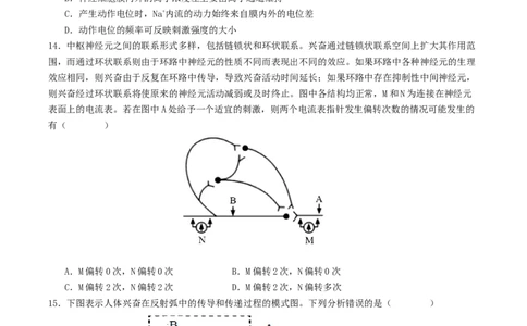 高二生物第一次月考卷测试范围：人教版2019选择性必修1第1章~第2章第3节（考试版）_1多考区联考试卷_2510142025-2026学年高二生物上学期第一次月考试题