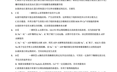 育才&middot;鲁巴&middot;万中高2026届高三（上）10月联合诊断性考试生物答案_2025年10月_251016重庆育才中学、鲁能巴蜀中学、万州高级中学高2026届高三10月联合考试（全科）