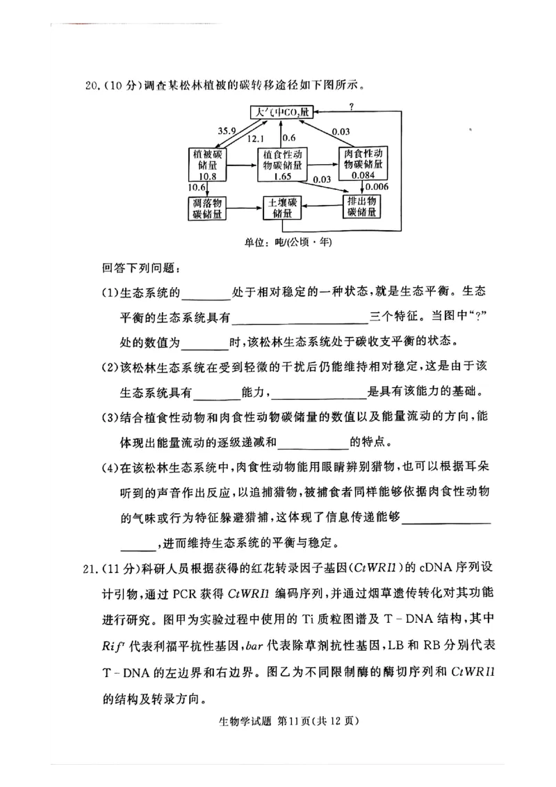 湘豫名校联考2024-2025学年高三春季学期第二次模拟考试生物_2025年4月_250403湘豫名校联考2024-2025学年高三春季学期第二次模拟考试（全科）