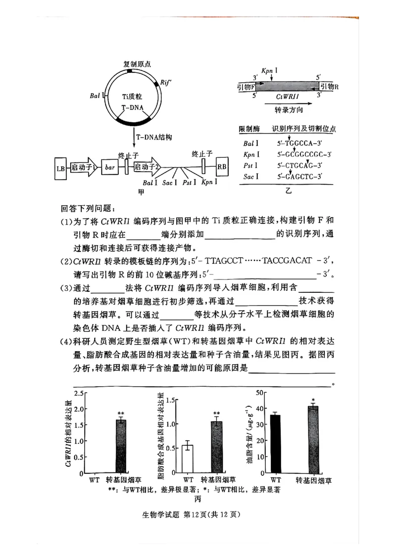 湘豫名校联考2024-2025学年高三春季学期第二次模拟考试生物_2025年4月_250403湘豫名校联考2024-2025学年高三春季学期第二次模拟考试（全科）