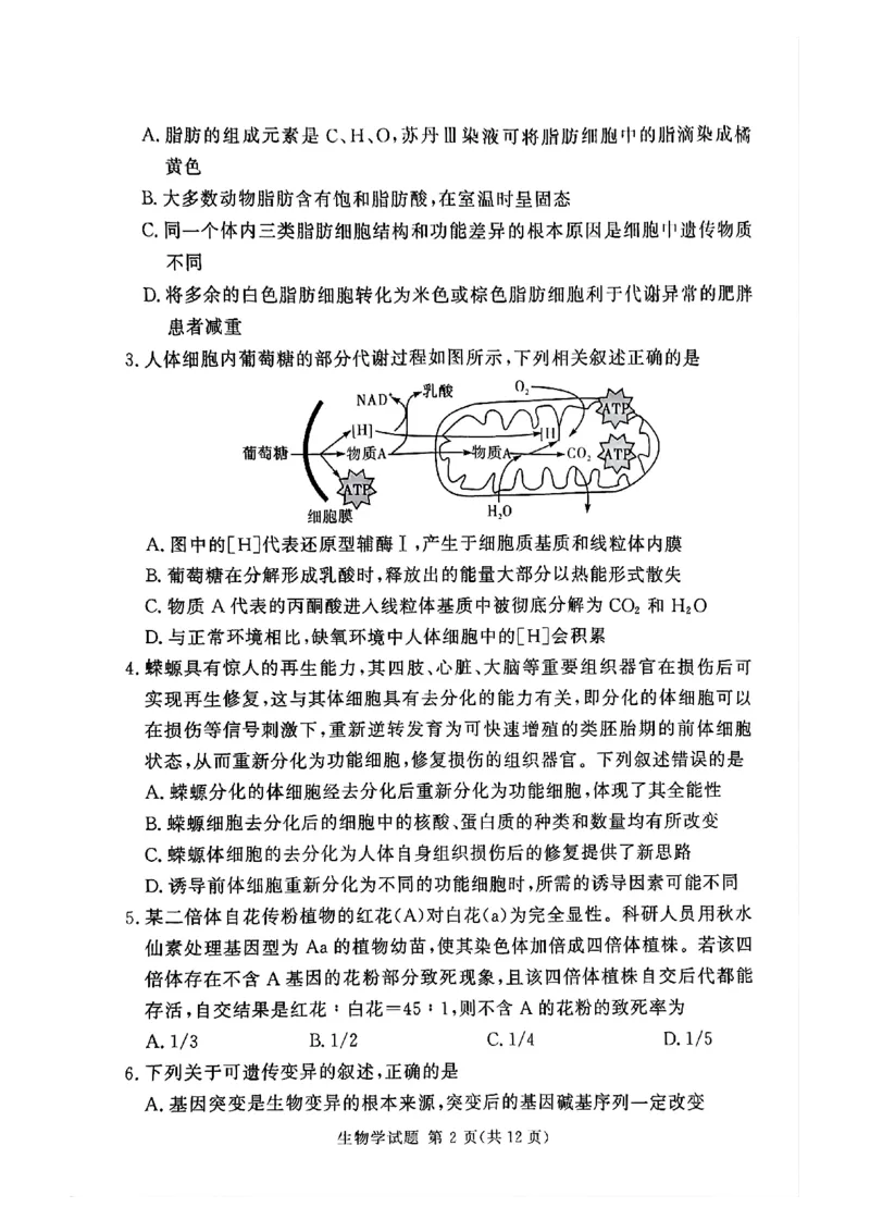湘豫名校联考2024-2025学年高三春季学期第二次模拟考试生物_2025年4月_250403湘豫名校联考2024-2025学年高三春季学期第二次模拟考试（全科）