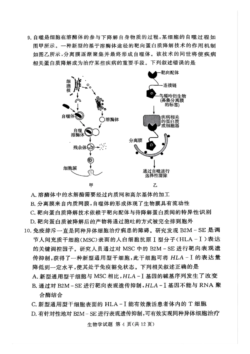 湘豫名校联考2024-2025学年高三春季学期第二次模拟考试生物_2025年4月_250403湘豫名校联考2024-2025学年高三春季学期第二次模拟考试（全科）