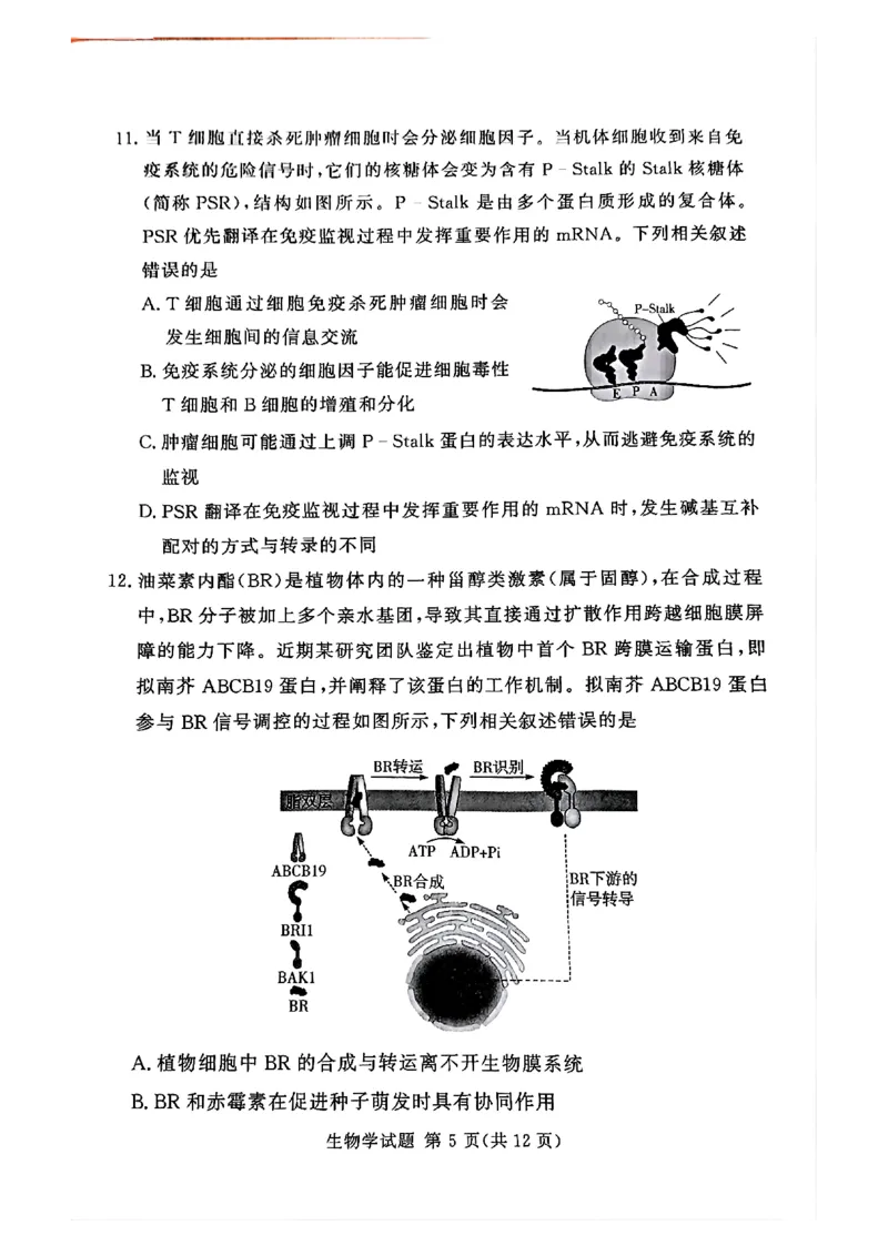 湘豫名校联考2024-2025学年高三春季学期第二次模拟考试生物_2025年4月_250403湘豫名校联考2024-2025学年高三春季学期第二次模拟考试（全科）
