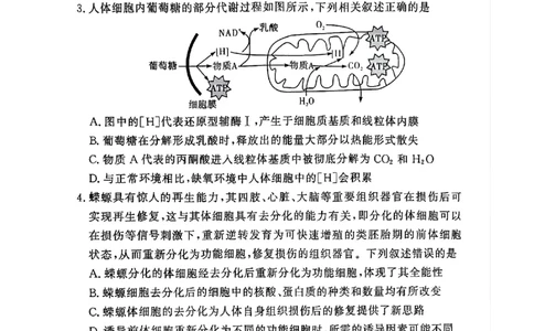 湘豫名校联考2024-2025学年高三春季学期第二次模拟考试生物_2025年4月_250403湘豫名校联考2024-2025学年高三春季学期第二次模拟考试（全科）