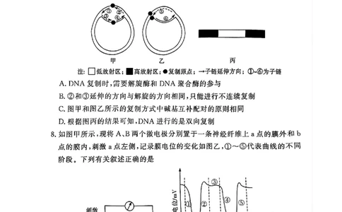 湘豫名校联考2024-2025学年高三春季学期第二次模拟考试生物_2025年4月_250403湘豫名校联考2024-2025学年高三春季学期第二次模拟考试（全科）