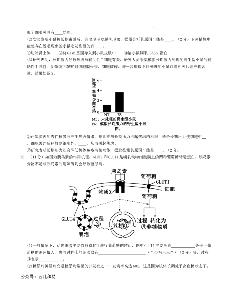高二生物第一次月考卷（新八省通用）（考试版A4）测试范围：选择性必修1第1~4章（人教版2019）(1)_1多考区联考