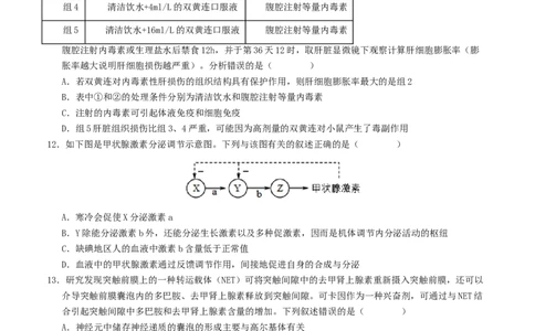 高二生物第一次月考卷（新八省通用）（考试版A4）测试范围：选择性必修1第1~4章（人教版2019）(1)_1多考区联考