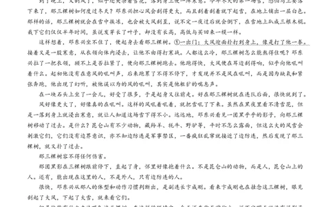 湖南省2025届高三下学期&ldquo;一起考&rdquo;大联考（模拟二）语文试题（含答案）_2025年4月_2504062025届湖南省部分学校高三&ldquo;一起考&rdquo;大联考（模拟二）（全科）