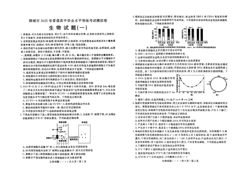 山东省聊城市2025年普通高中学业水平等级考试模拟卷生物_2025年3月_250310山东省聊城市2025年普通高中学业水平等级考试模拟卷（聊城一模）（全科）