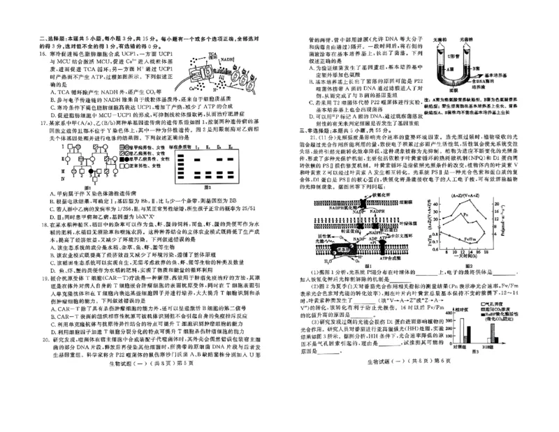 山东省聊城市2025年普通高中学业水平等级考试模拟卷生物_2025年3月_250310山东省聊城市2025年普通高中学业水平等级考试模拟卷（聊城一模）（全科）