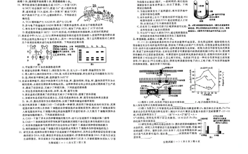 山东省聊城市2025年普通高中学业水平等级考试模拟卷生物_2025年3月_250310山东省聊城市2025年普通高中学业水平等级考试模拟卷（聊城一模）（全科）