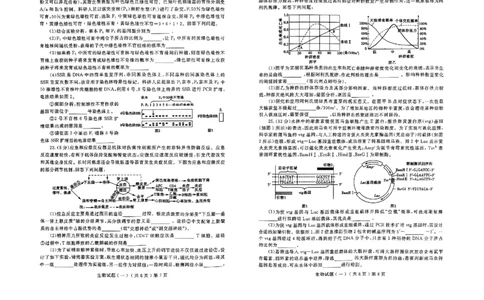 山东省聊城市2025年普通高中学业水平等级考试模拟卷生物_2025年3月_250310山东省聊城市2025年普通高中学业水平等级考试模拟卷（聊城一模）（全科）