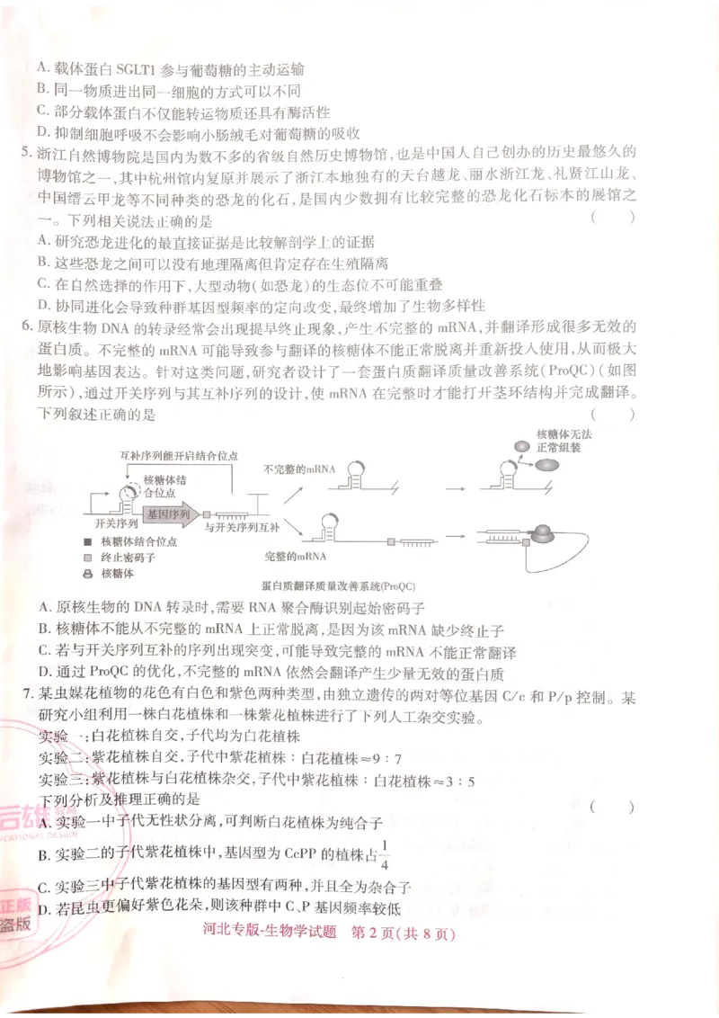 2024-05高考王后雄生物_2024高考押题卷_22024王hou雄_16王后雄押题_2024年王后雄高考押题预测卷（河北专版）
