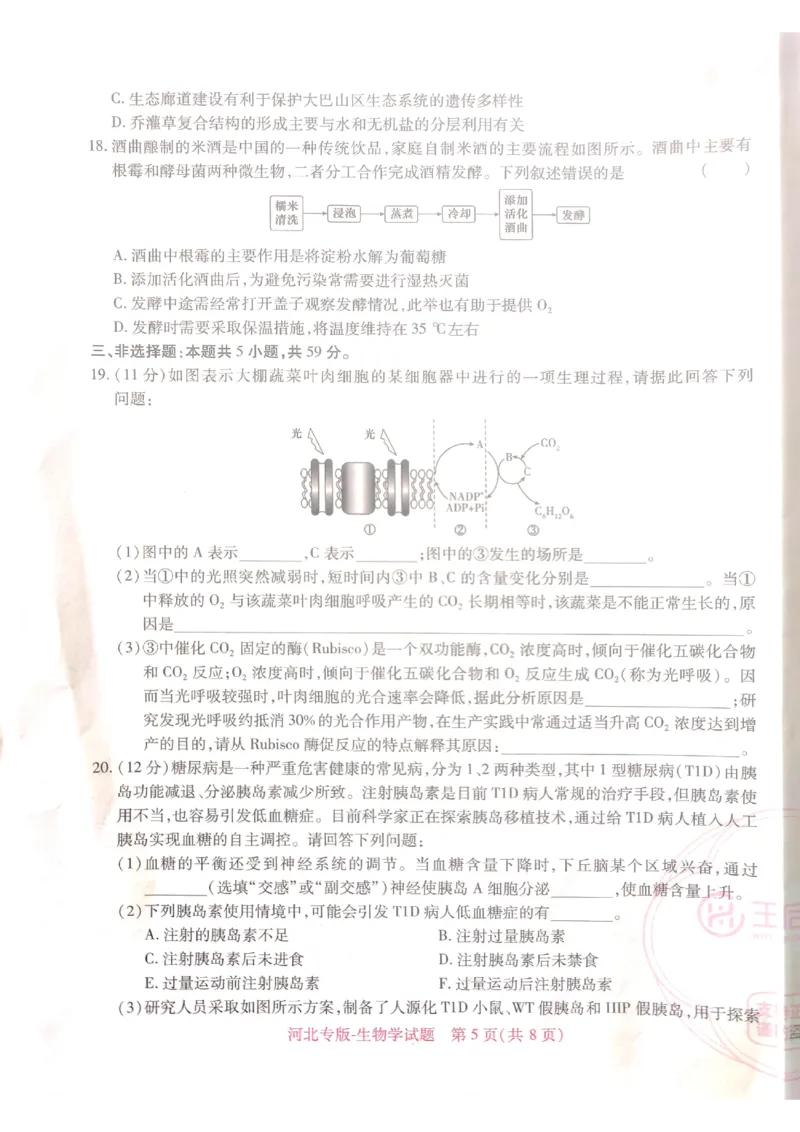 2024-05高考王后雄生物_2024高考押题卷_22024王hou雄_16王后雄押题_2024年王后雄高考押题预测卷（河北专版）