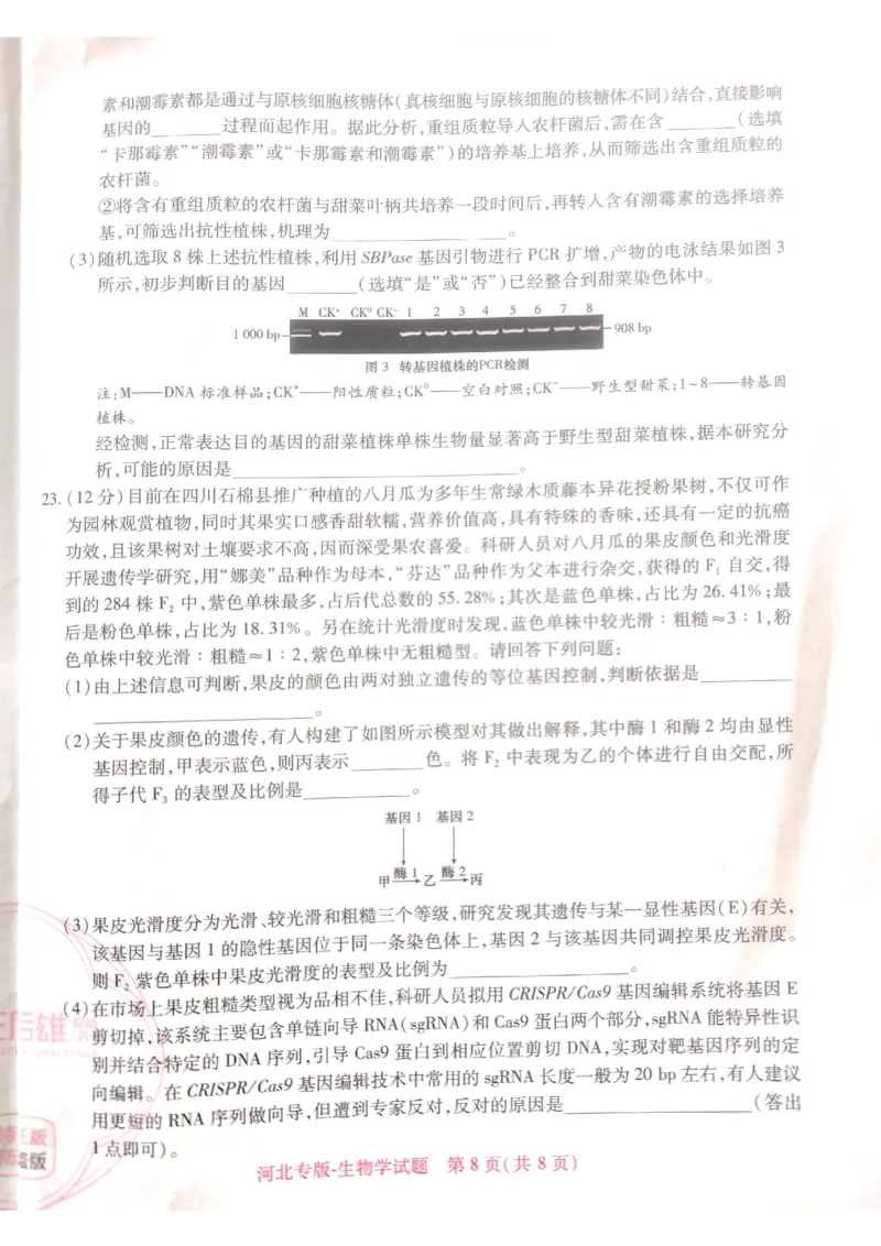 2024-05高考王后雄生物_2024高考押题卷_22024王hou雄_16王后雄押题_2024年王后雄高考押题预测卷（河北专版）