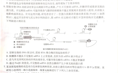 2024-05高考王后雄生物_2024高考押题卷_22024王hou雄_16王后雄押题_2024年王后雄高考押题预测卷（河北专版）