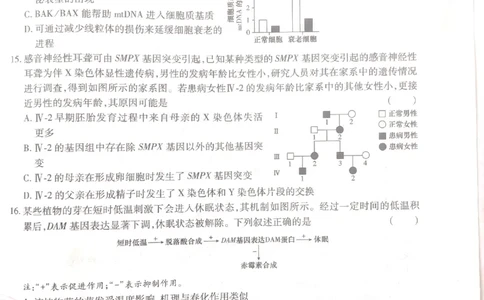 2024-05高考王后雄生物_2024高考押题卷_22024王hou雄_16王后雄押题_2024年王后雄高考押题预测卷（河北专版）