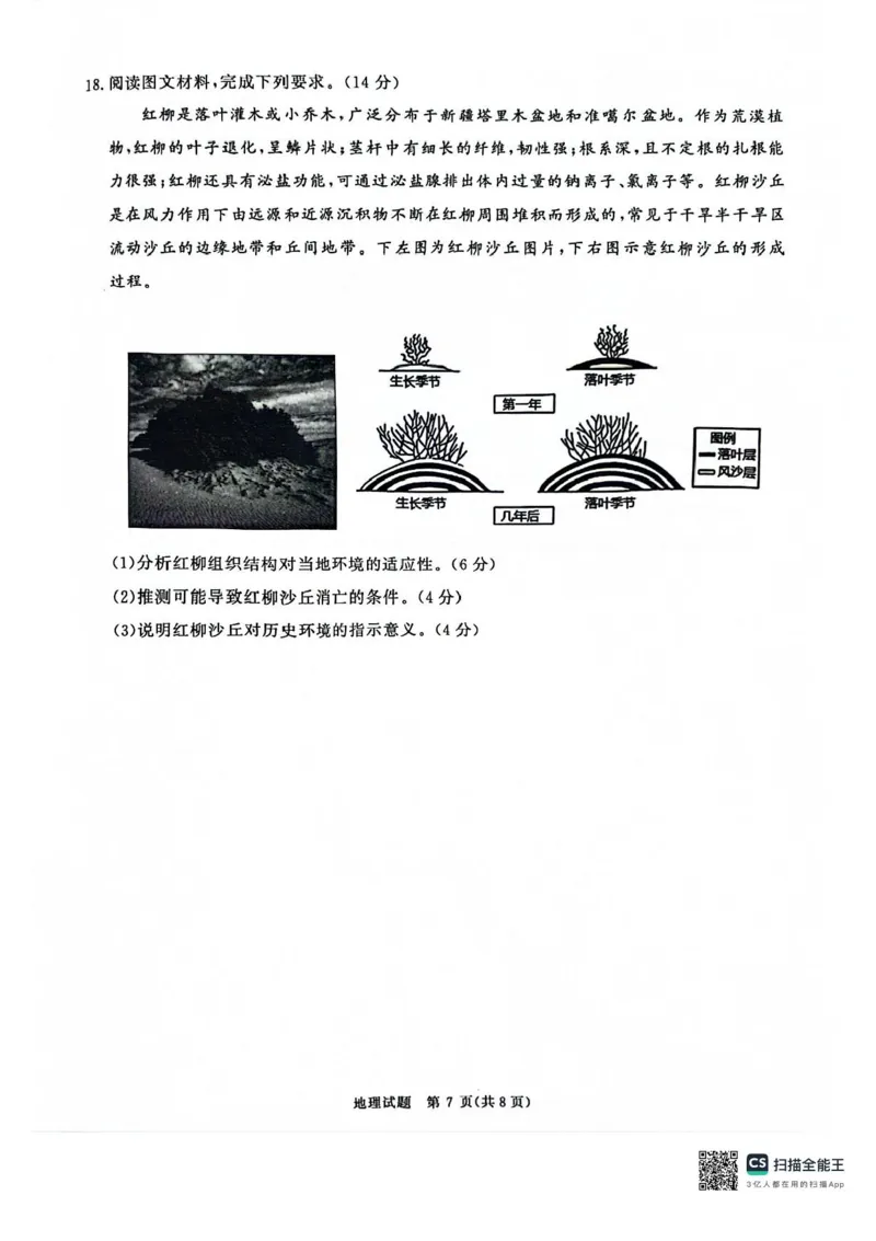 河南省2025届高三青桐鸣3月大联考地理试题+答案_2025年3月_250313河南省青桐鸣大联考2024-2025学年高三下学期3月月考