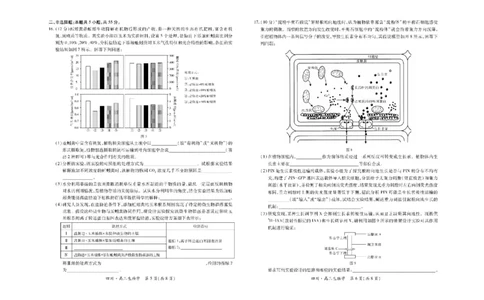 四川省大数据智学领航联盟2025-2026学年高三上学期开学考试生物试题（含答案）_2025年9月_250905四川省大数据联盟2025-2026学年高三上学期开学考试