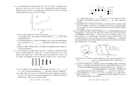 四川省大数据智学领航联盟2025-2026学年高三上学期开学考试生物试题（含答案）_2025年9月_250905四川省大数据联盟2025-2026学年高三上学期开学考试