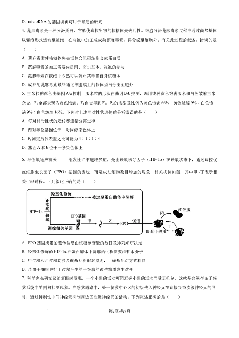 四川省乐山市第一中学校高2022级高三二模测试生物_2025年3月_250316四川省乐山市第一中学校高2022级高三二模测试（全科）_四川省乐山市第一中学校高2022级高三二模测试生物