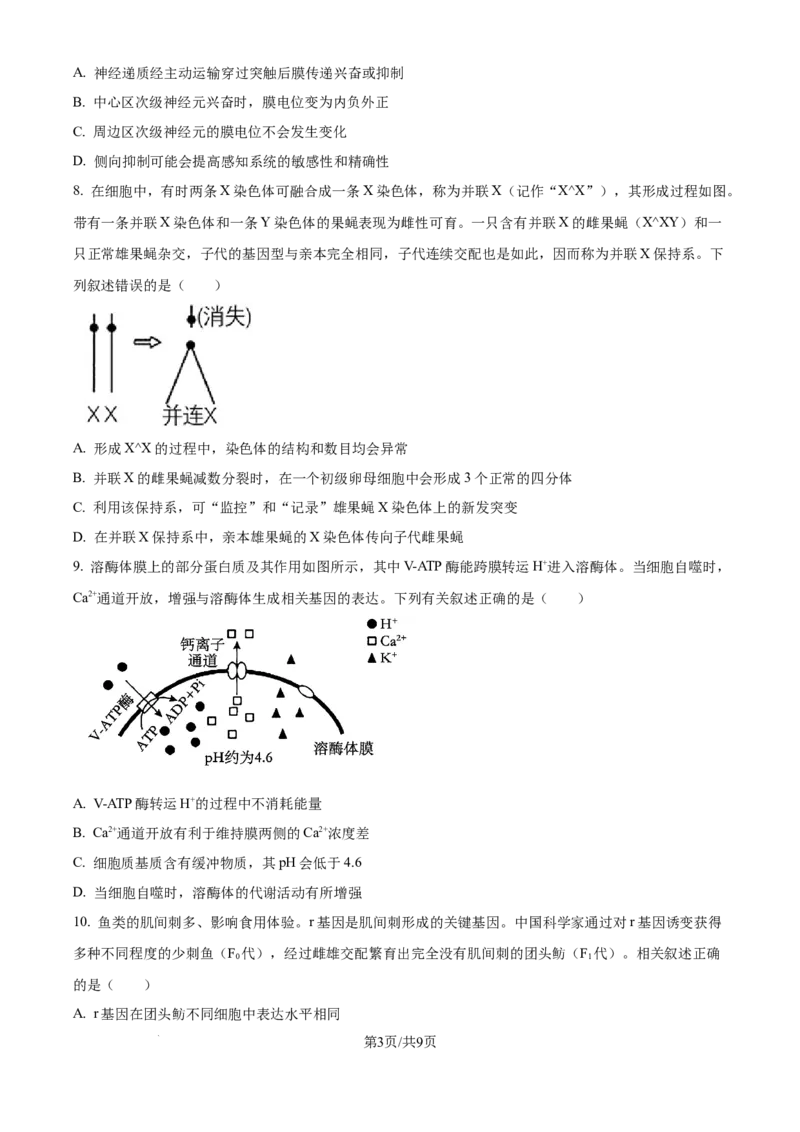 四川省乐山市第一中学校高2022级高三二模测试生物_2025年3月_250316四川省乐山市第一中学校高2022级高三二模测试（全科）_四川省乐山市第一中学校高2022级高三二模测试生物