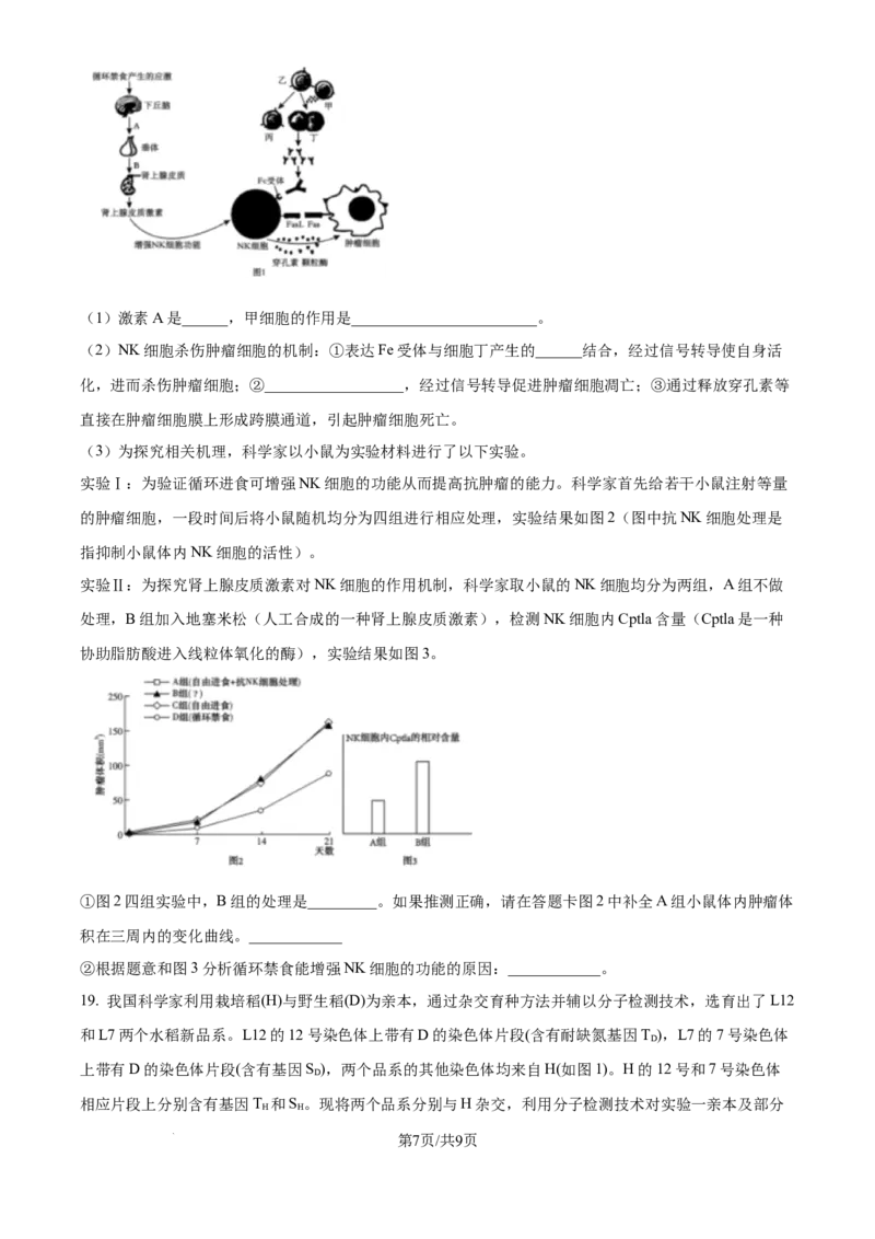四川省乐山市第一中学校高2022级高三二模测试生物_2025年3月_250316四川省乐山市第一中学校高2022级高三二模测试（全科）_四川省乐山市第一中学校高2022级高三二模测试生物