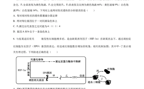 四川省乐山市第一中学校高2022级高三二模测试生物_2025年3月_250316四川省乐山市第一中学校高2022级高三二模测试（全科）_四川省乐山市第一中学校高2022级高三二模测试生物