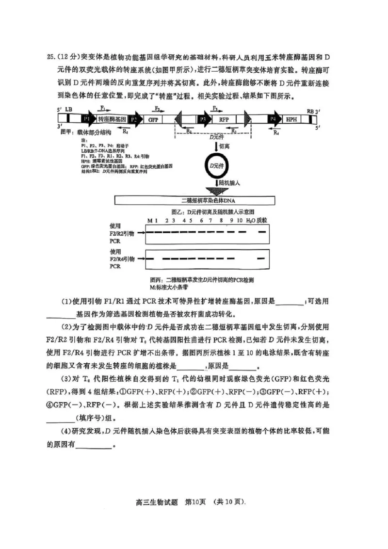 生物试题_2025年3月_250328山东省济南市2025年3月高三模拟考试（济南一模）（全科）_2025年3月济南市高三3月模拟考试生物