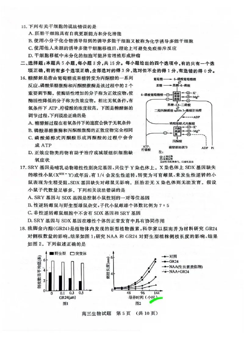 生物试题_2025年3月_250328山东省济南市2025年3月高三模拟考试（济南一模）（全科）_2025年3月济南市高三3月模拟考试生物