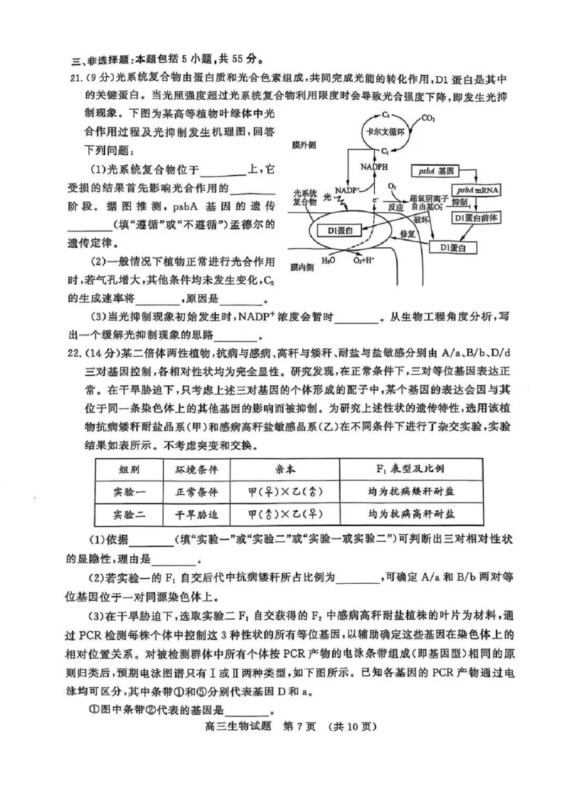 生物试题_2025年3月_250328山东省济南市2025年3月高三模拟考试（济南一模）（全科）_2025年3月济南市高三3月模拟考试生物