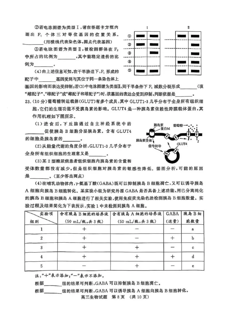 生物试题_2025年3月_250328山东省济南市2025年3月高三模拟考试（济南一模）（全科）_2025年3月济南市高三3月模拟考试生物