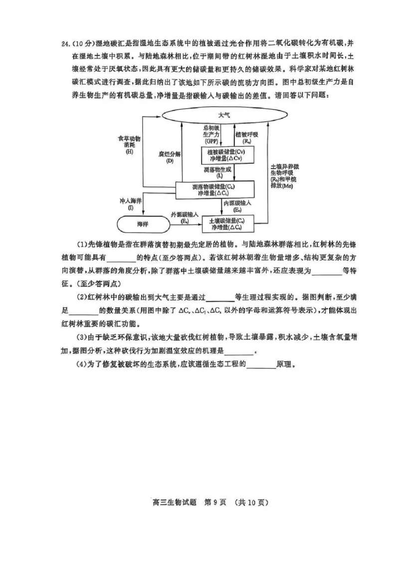 生物试题_2025年3月_250328山东省济南市2025年3月高三模拟考试（济南一模）（全科）_2025年3月济南市高三3月模拟考试生物