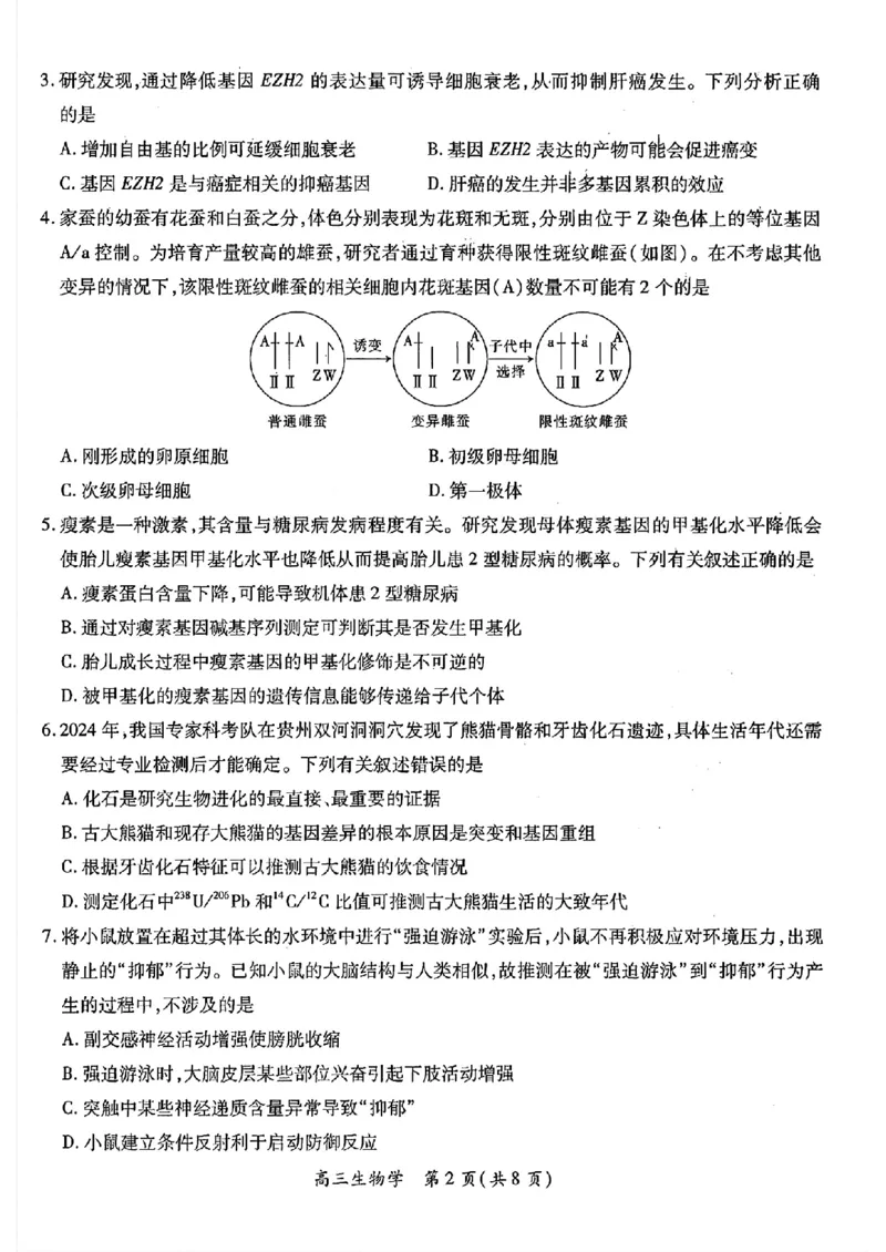 江西稳派1月期末生物+答案_2025年1月_250119江西智慧上进教育稳派联考2025届高三年级上学期期末教学质量质量检测1月联考（全科）