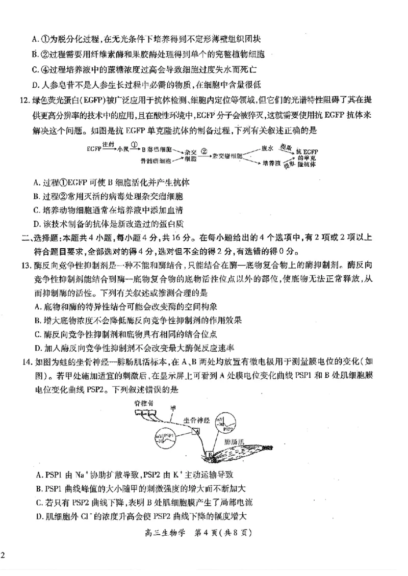 江西稳派1月期末生物+答案_2025年1月_250119江西智慧上进教育稳派联考2025届高三年级上学期期末教学质量质量检测1月联考（全科）