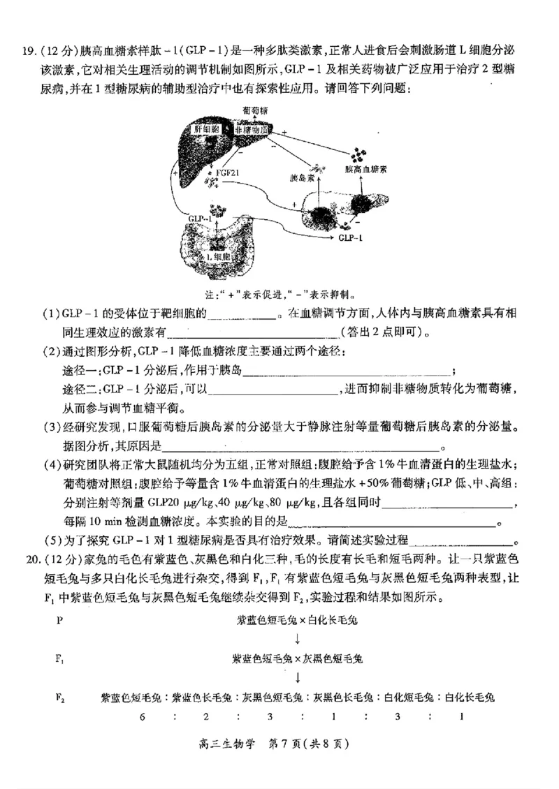 江西稳派1月期末生物+答案_2025年1月_250119江西智慧上进教育稳派联考2025届高三年级上学期期末教学质量质量检测1月联考（全科）