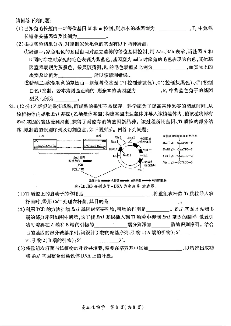 江西稳派1月期末生物+答案_2025年1月_250119江西智慧上进教育稳派联考2025届高三年级上学期期末教学质量质量检测1月联考（全科）