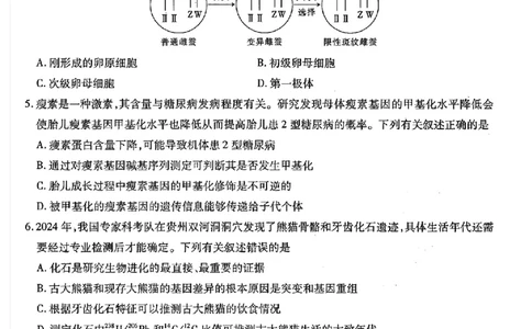 江西稳派1月期末生物+答案_2025年1月_250119江西智慧上进教育稳派联考2025届高三年级上学期期末教学质量质量检测1月联考（全科）