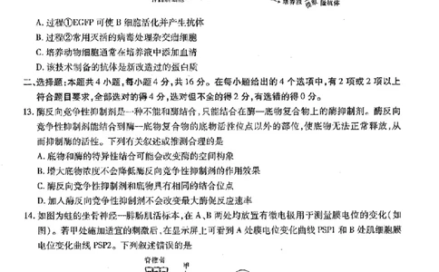 江西稳派1月期末生物+答案_2025年1月_250119江西智慧上进教育稳派联考2025届高三年级上学期期末教学质量质量检测1月联考（全科）