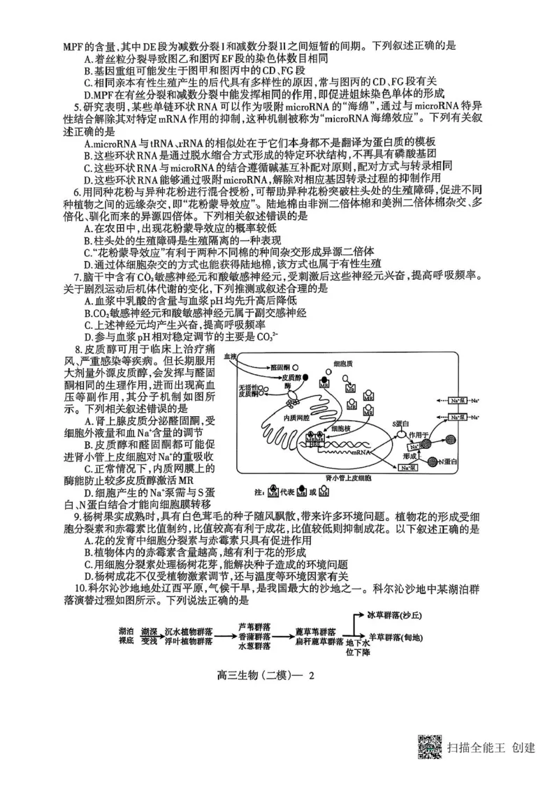 辽宁协作校2024-2025学年度高三第二次模拟考生物试题（含答案）_2025年4月_250424辽宁协作校2024-2025学年度高三第二次模拟考（全科）
