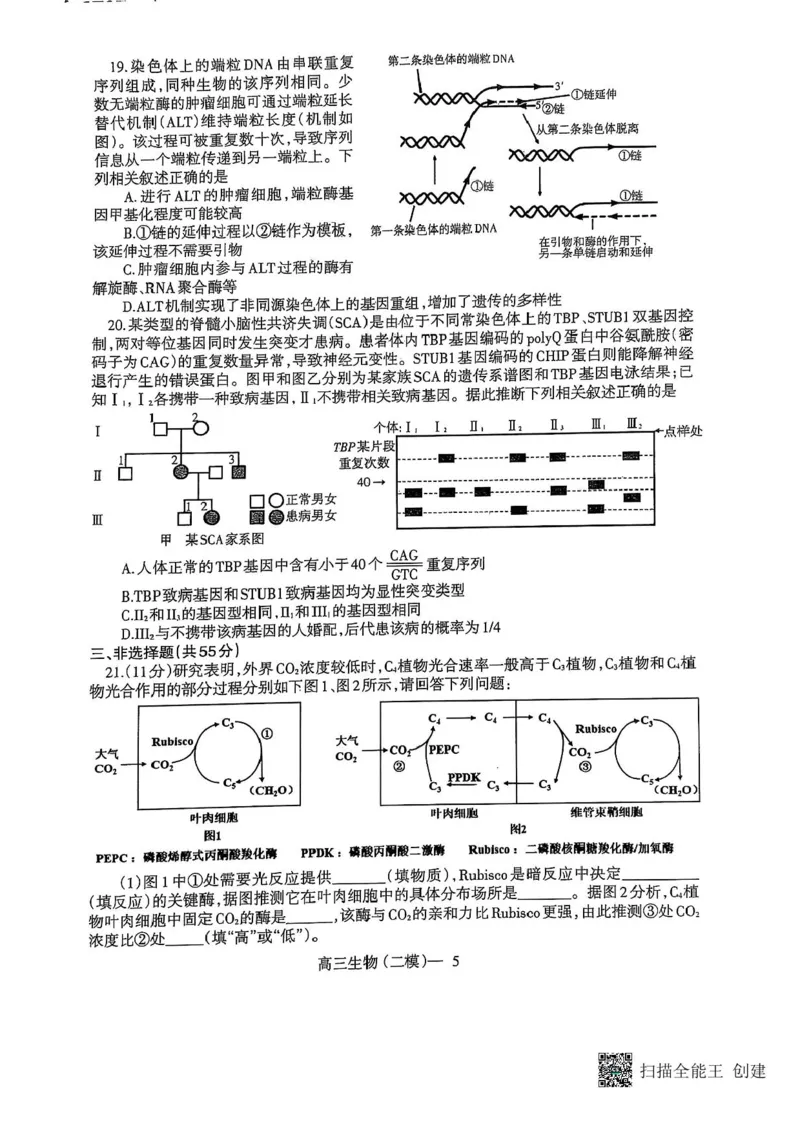 辽宁协作校2024-2025学年度高三第二次模拟考生物试题（含答案）_2025年4月_250424辽宁协作校2024-2025学年度高三第二次模拟考（全科）