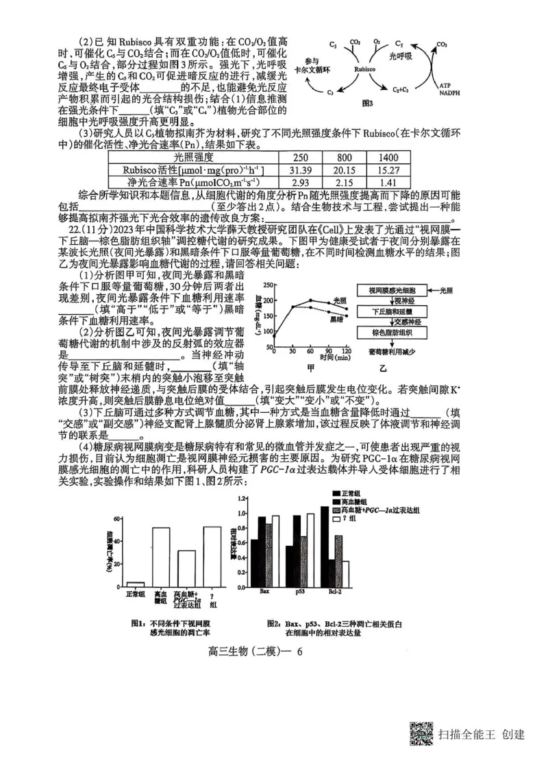 辽宁协作校2024-2025学年度高三第二次模拟考生物试题（含答案）_2025年4月_250424辽宁协作校2024-2025学年度高三第二次模拟考（全科）