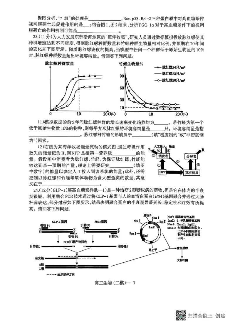 辽宁协作校2024-2025学年度高三第二次模拟考生物试题（含答案）_2025年4月_250424辽宁协作校2024-2025学年度高三第二次模拟考（全科）