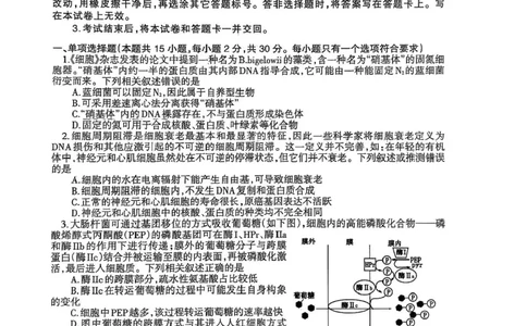 辽宁协作校2024-2025学年度高三第二次模拟考生物试题（含答案）_2025年4月_250424辽宁协作校2024-2025学年度高三第二次模拟考（全科）