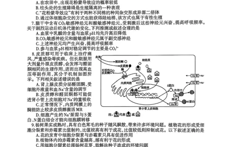 辽宁协作校2024-2025学年度高三第二次模拟考生物试题（含答案）_2025年4月_250424辽宁协作校2024-2025学年度高三第二次模拟考（全科）