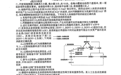 辽宁协作校2024-2025学年度高三第二次模拟考生物试题（含答案）_2025年4月_250424辽宁协作校2024-2025学年度高三第二次模拟考（全科）