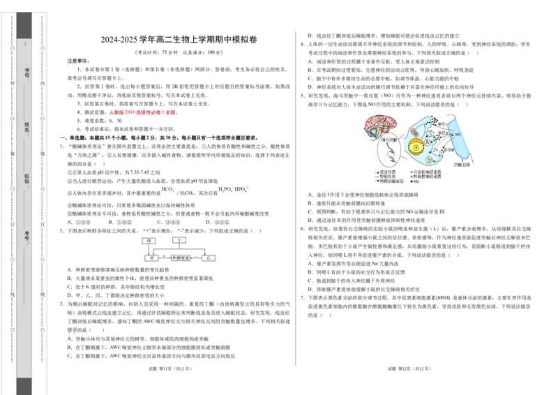 高二生物期中模拟卷（考试版A3）（新八省通用）(1)_1多考区联考_1014高二期中模拟卷（新八省专用）黄金卷：2024-2025学年高二上学期期中模拟考试